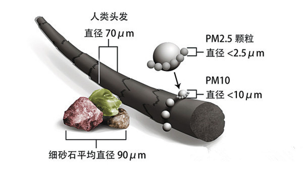 PM2.5顆粒大小與一般生活常見的物質的比較